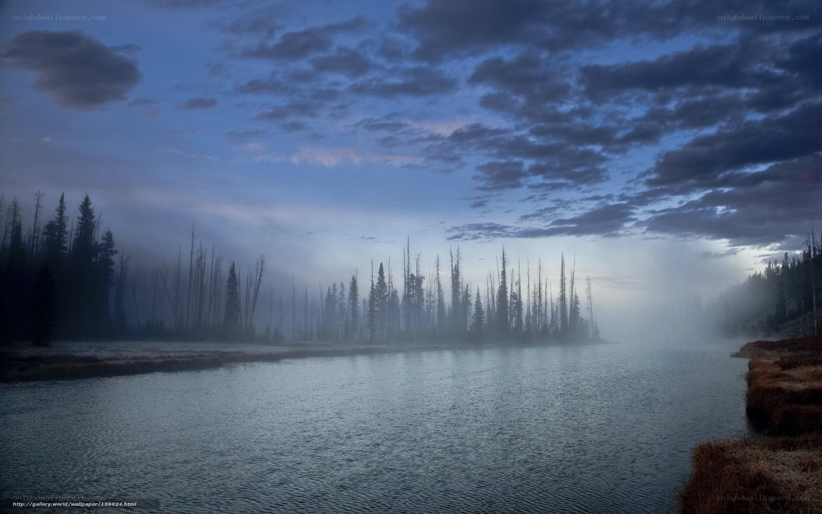 Misty lake at dawn