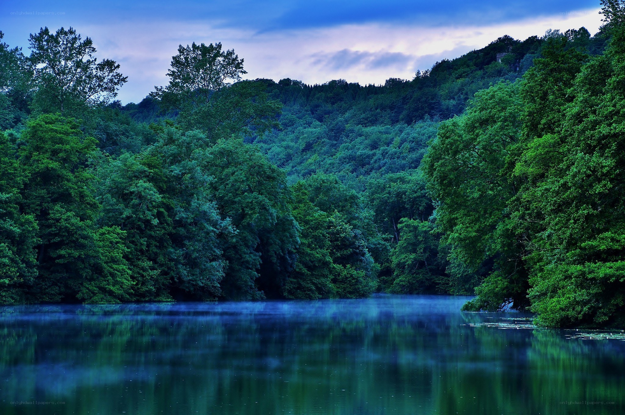 Misty lake at dawn