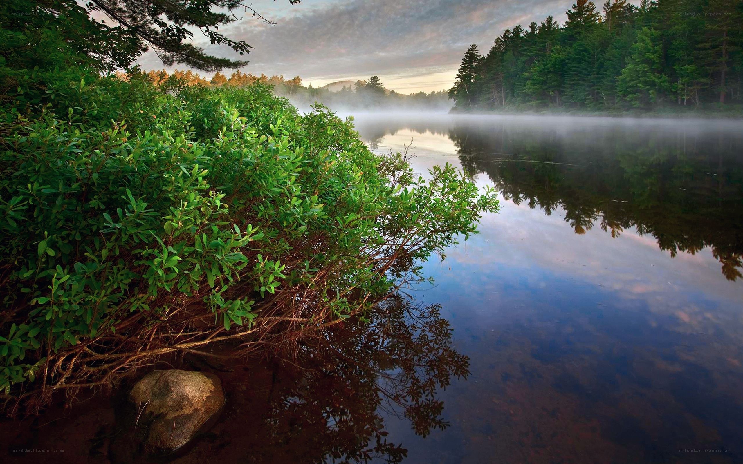 Misty lake at dawn