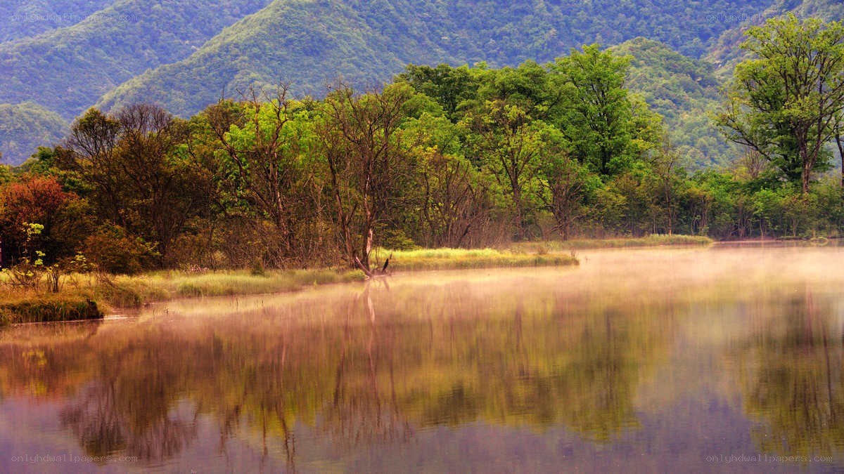 Misty lake at dawn