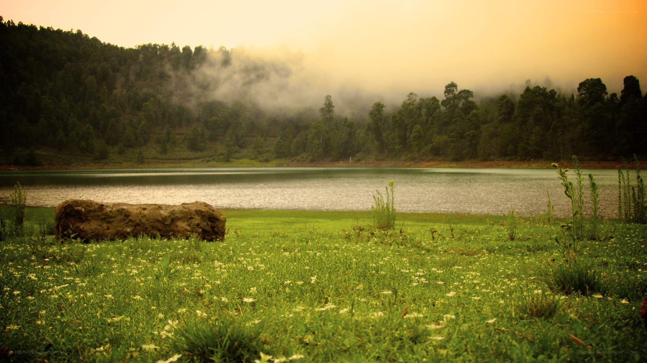 Misty lake at dawn