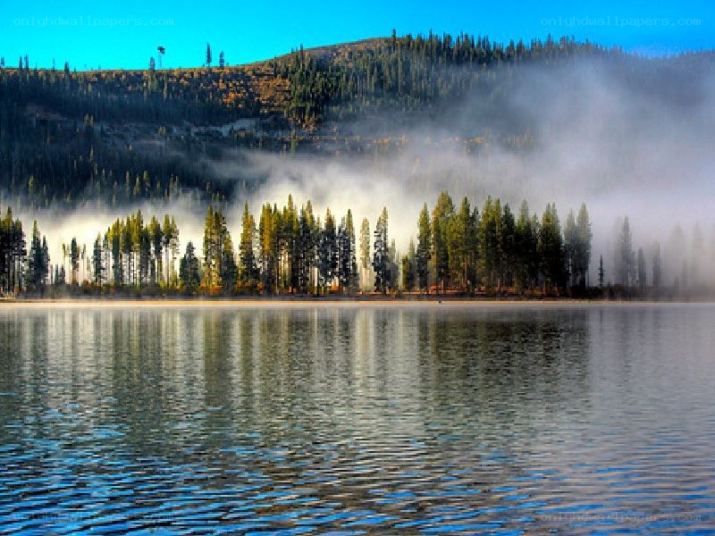 Misty lake at dawn