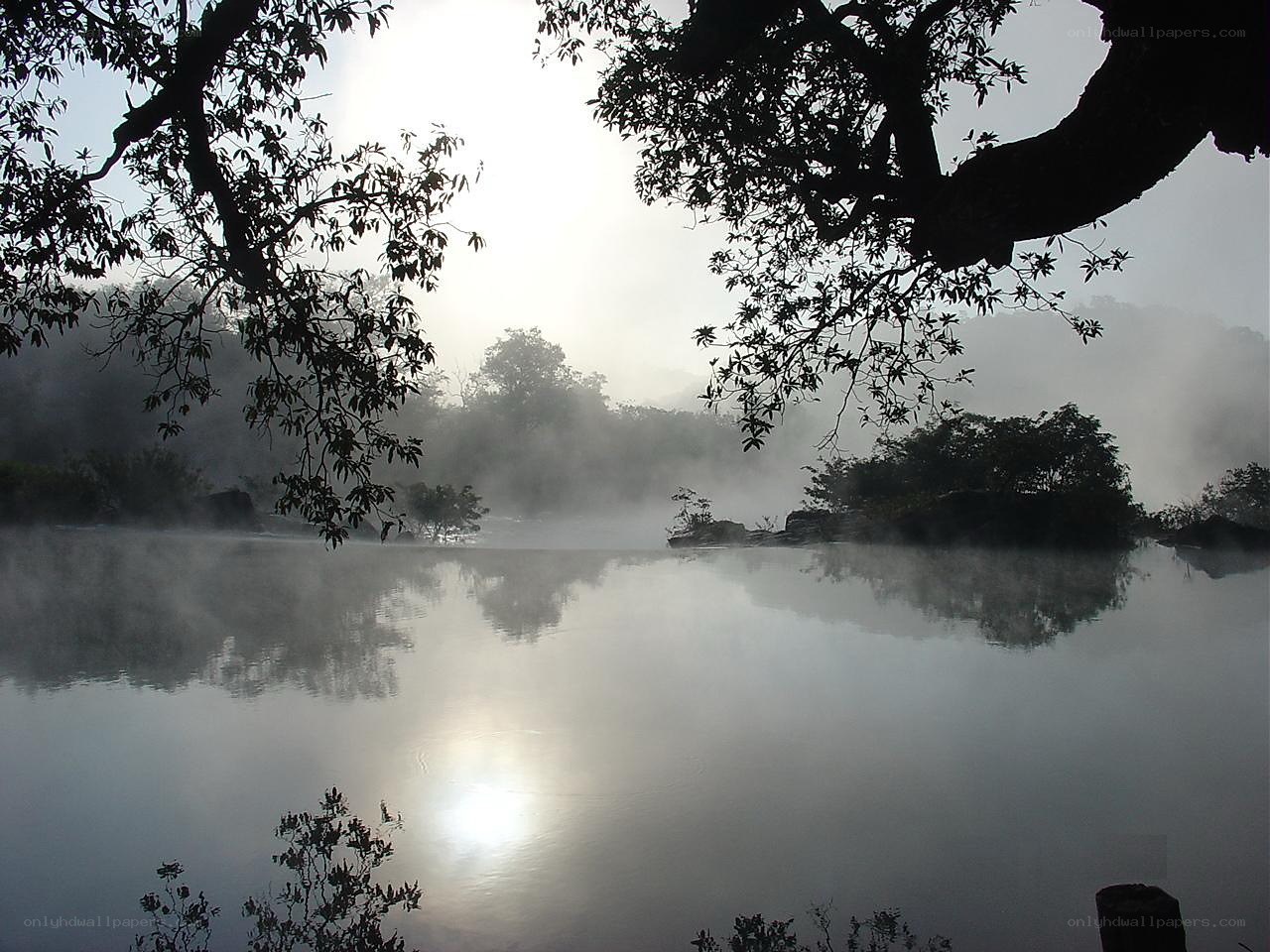 Misty lake at dawn