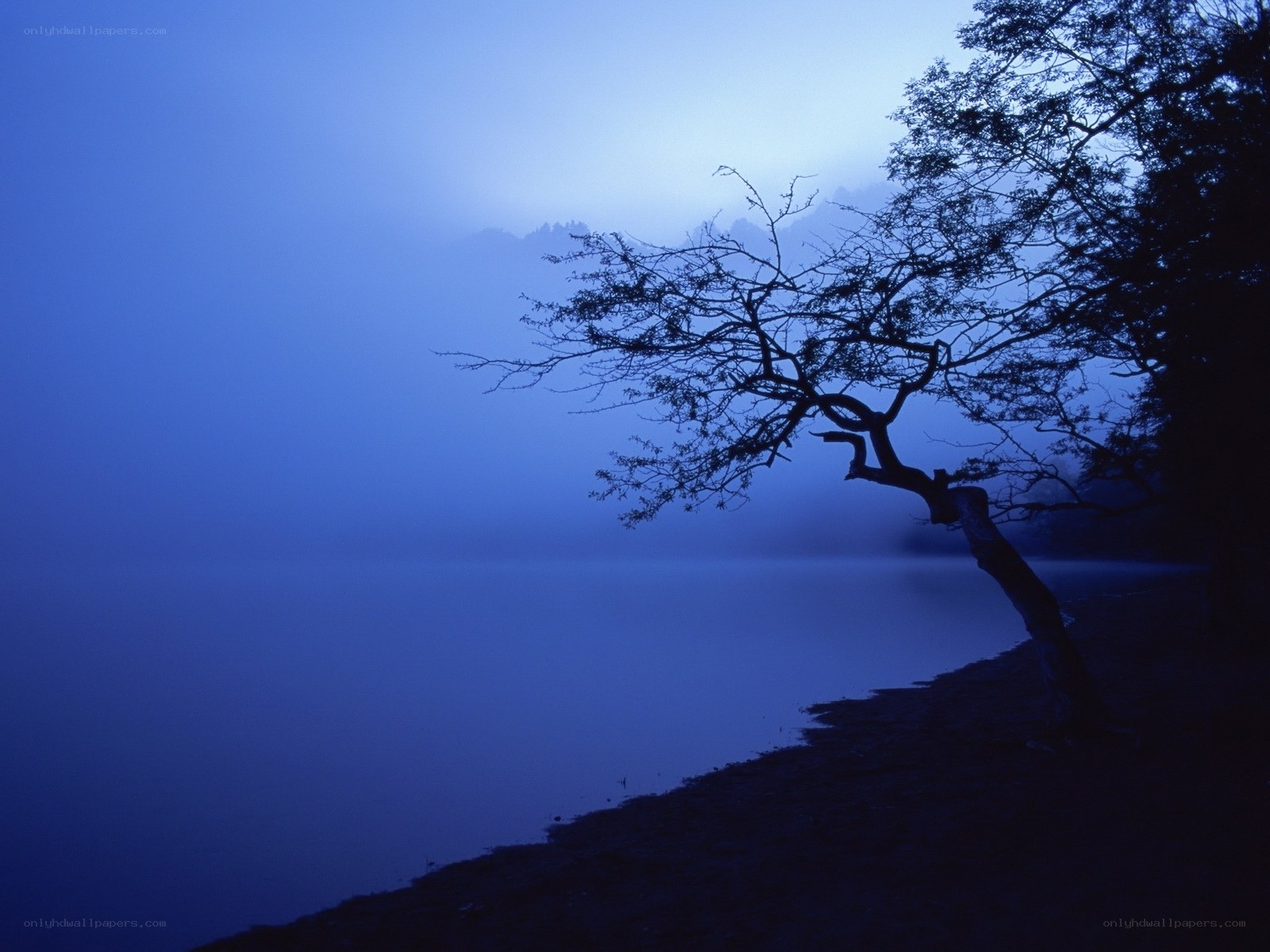 Misty lake at dawn