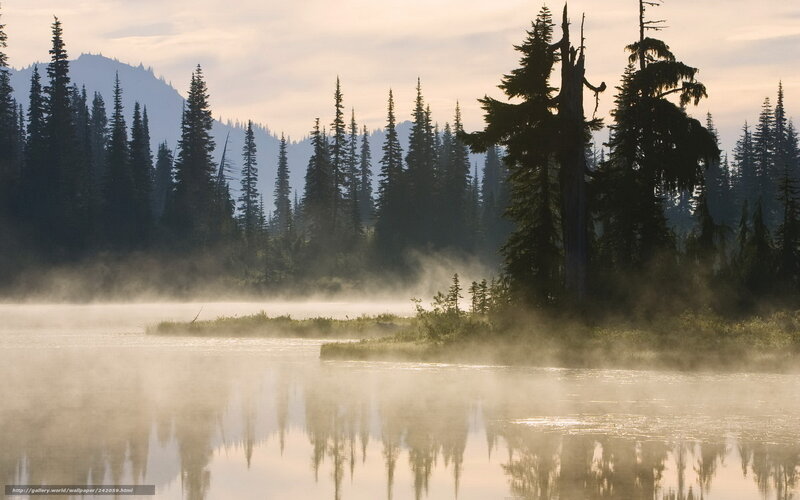 Misty lake at dawn