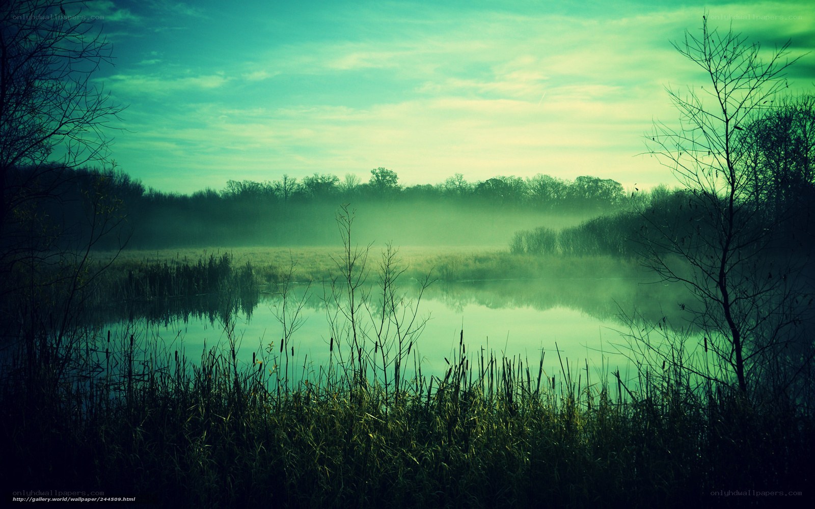 Misty lake at dawn