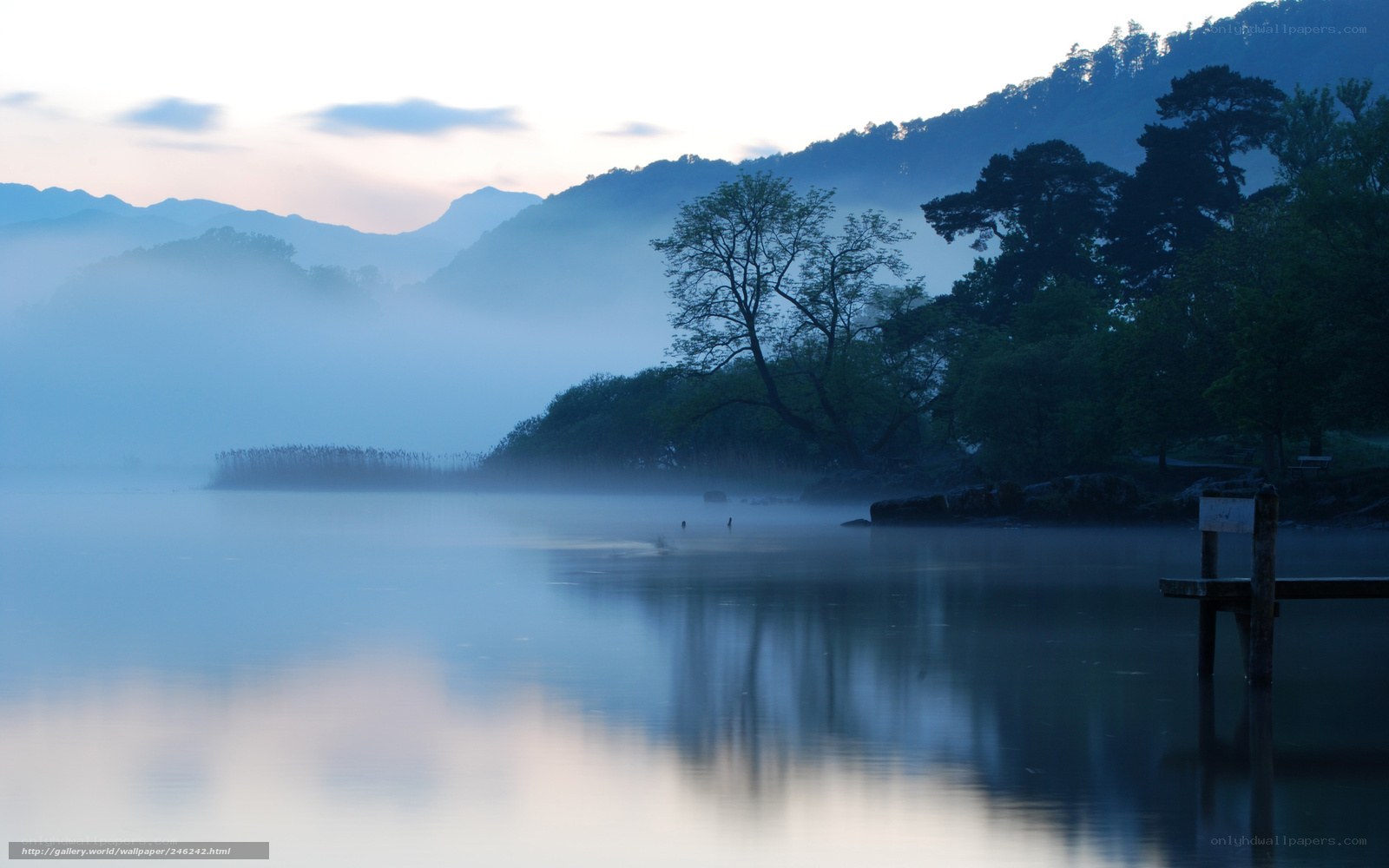 Misty lake at dawn