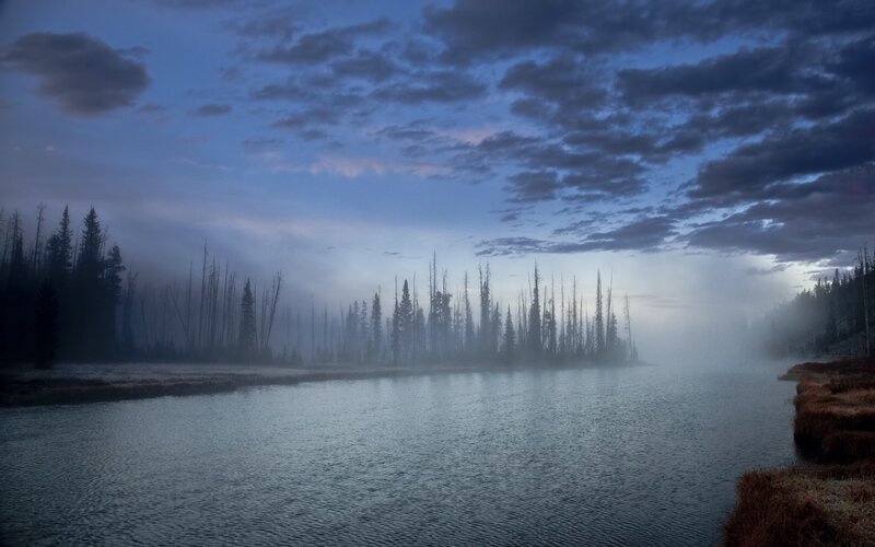 Misty lake at dawn
