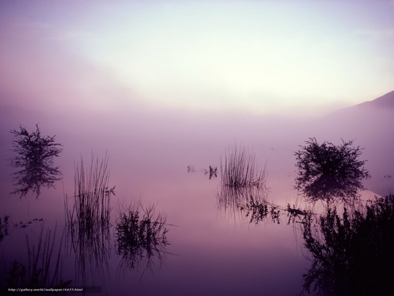 Misty lake at dawn