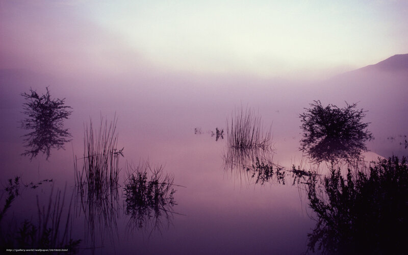 Misty lake at dawn