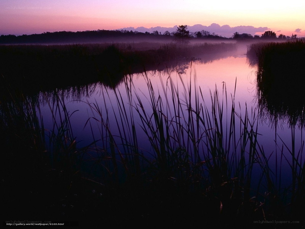 Misty lake at dawn