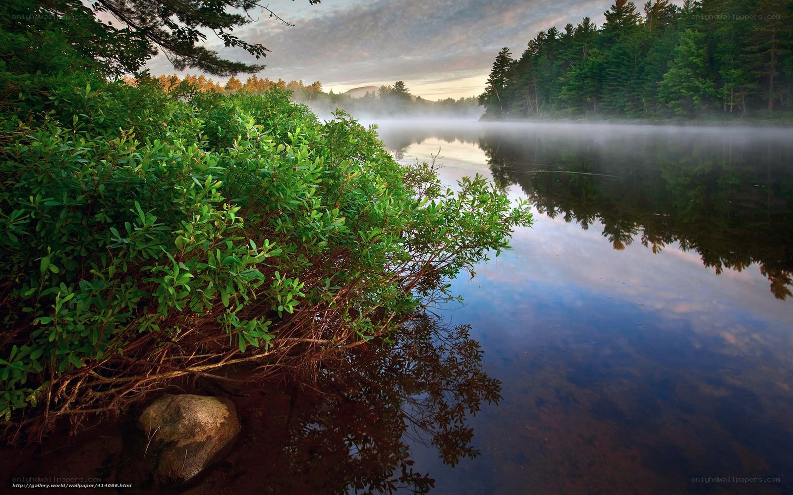 Misty lake at dawn