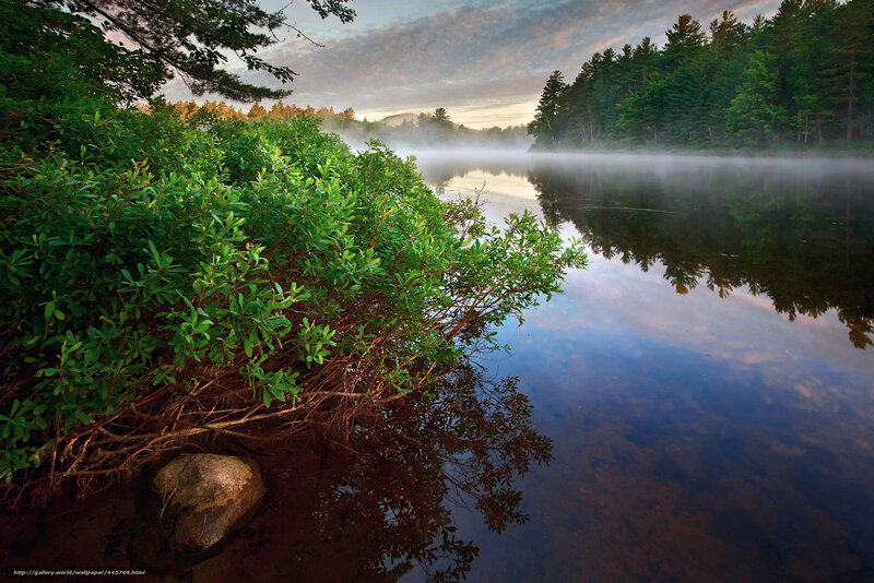 Misty lake at dawn
