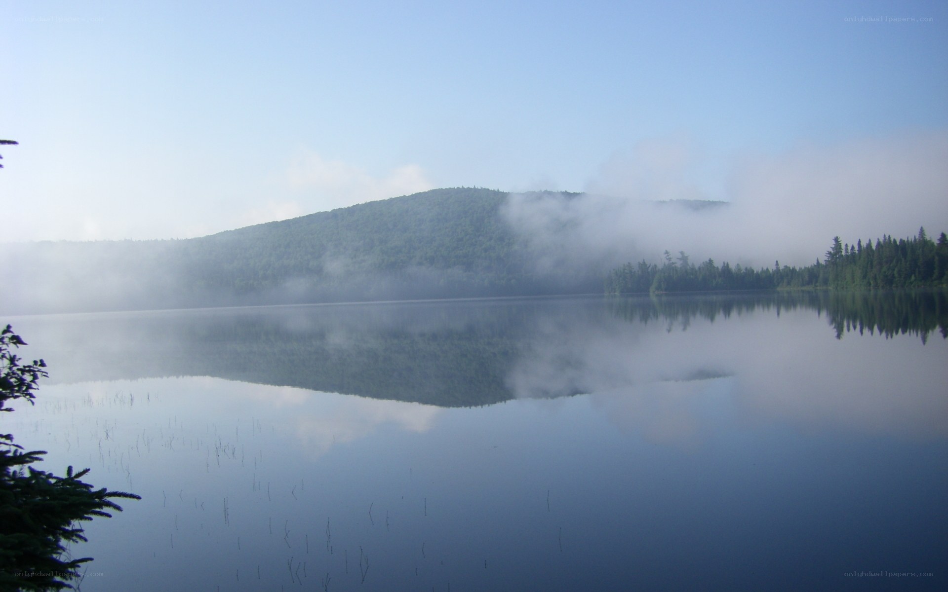 Misty lake at dawn