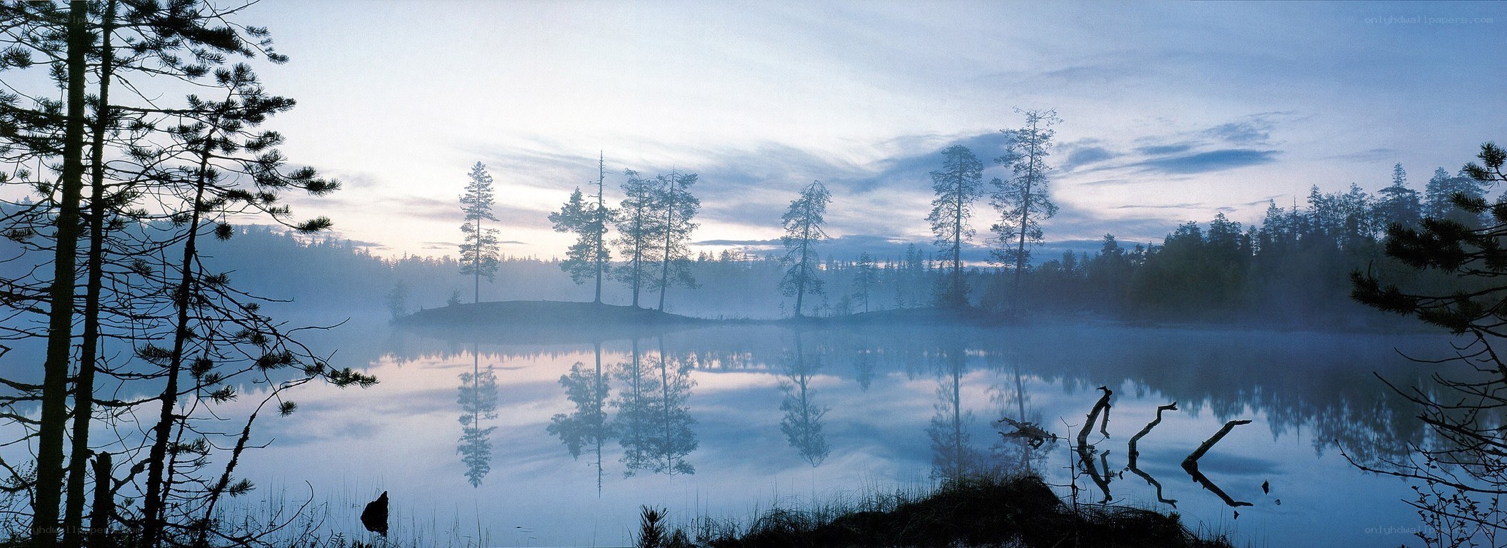 Misty lake at dawn