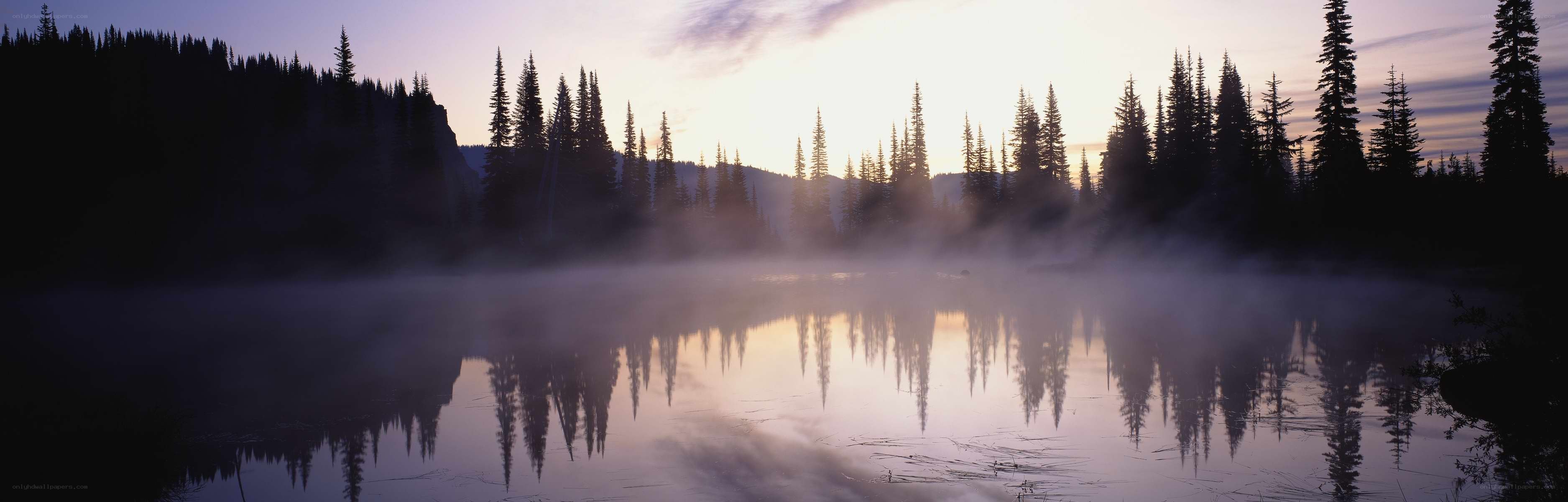 Misty lake at dawn