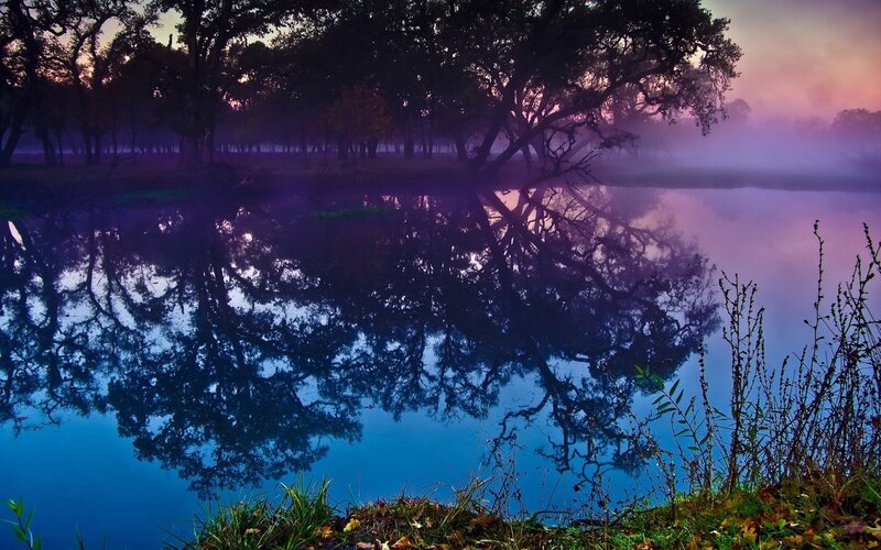 Misty lake at dawn