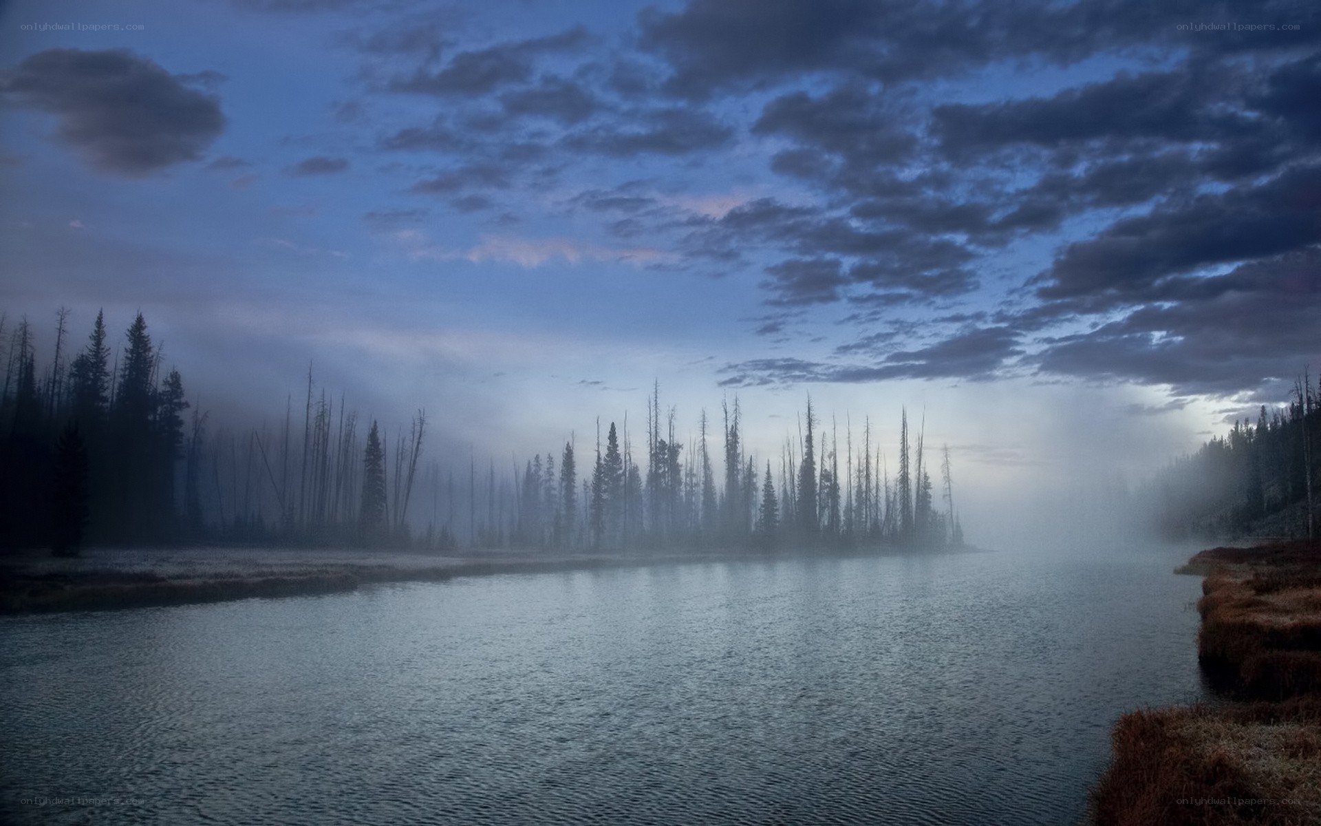 Misty lake at dawn
