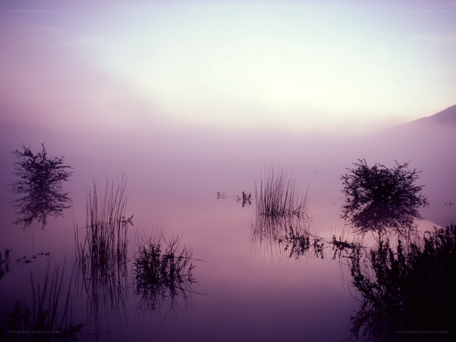 Misty lake at dawn
