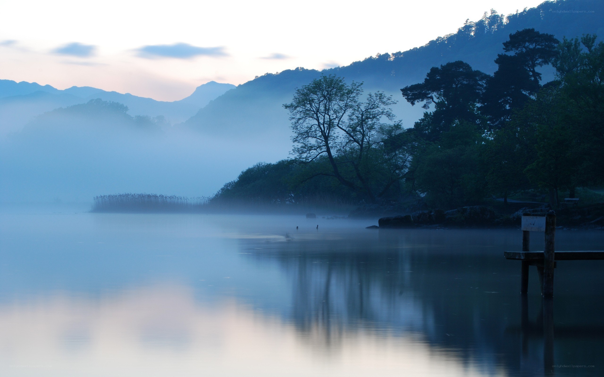 Misty lake at dawn
