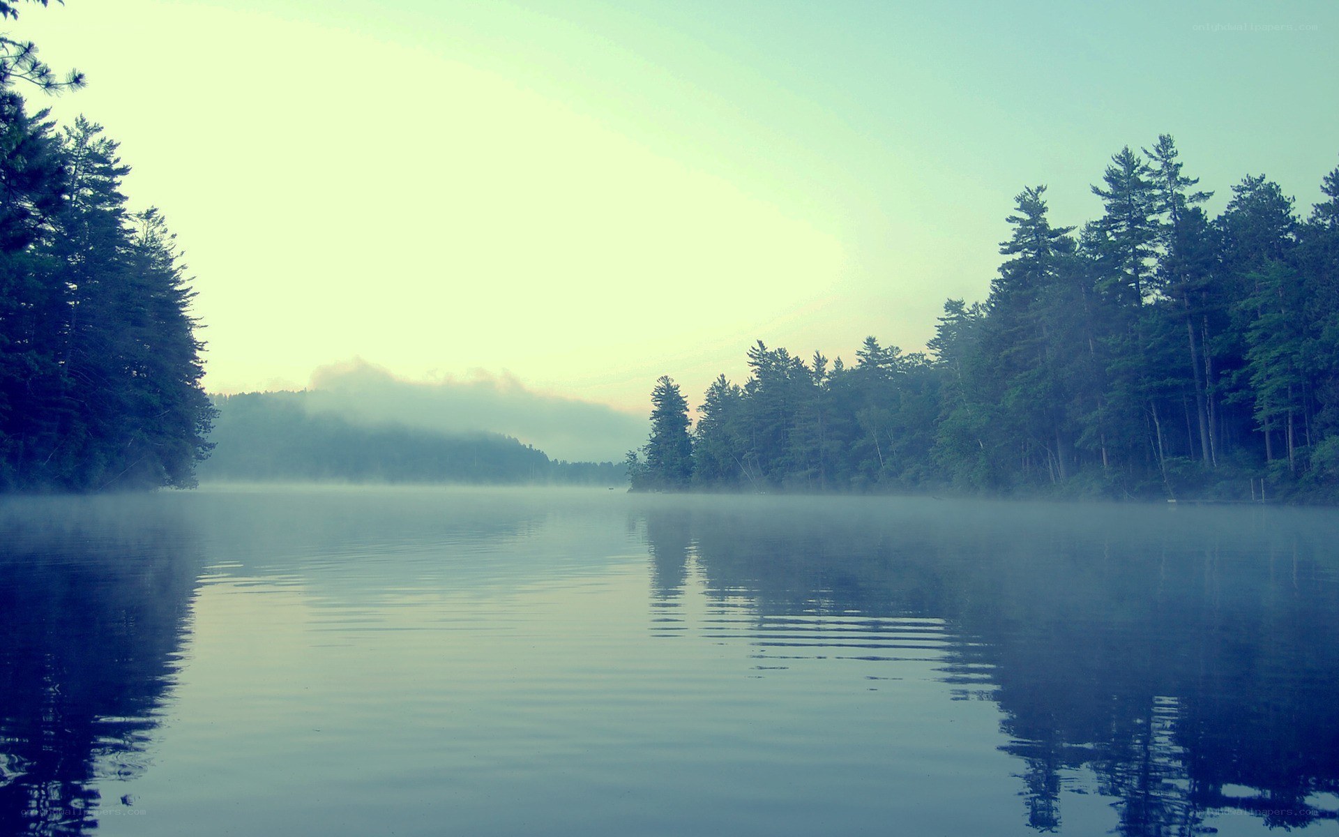 Misty lake at dawn