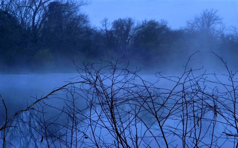 Misty lake at dawn