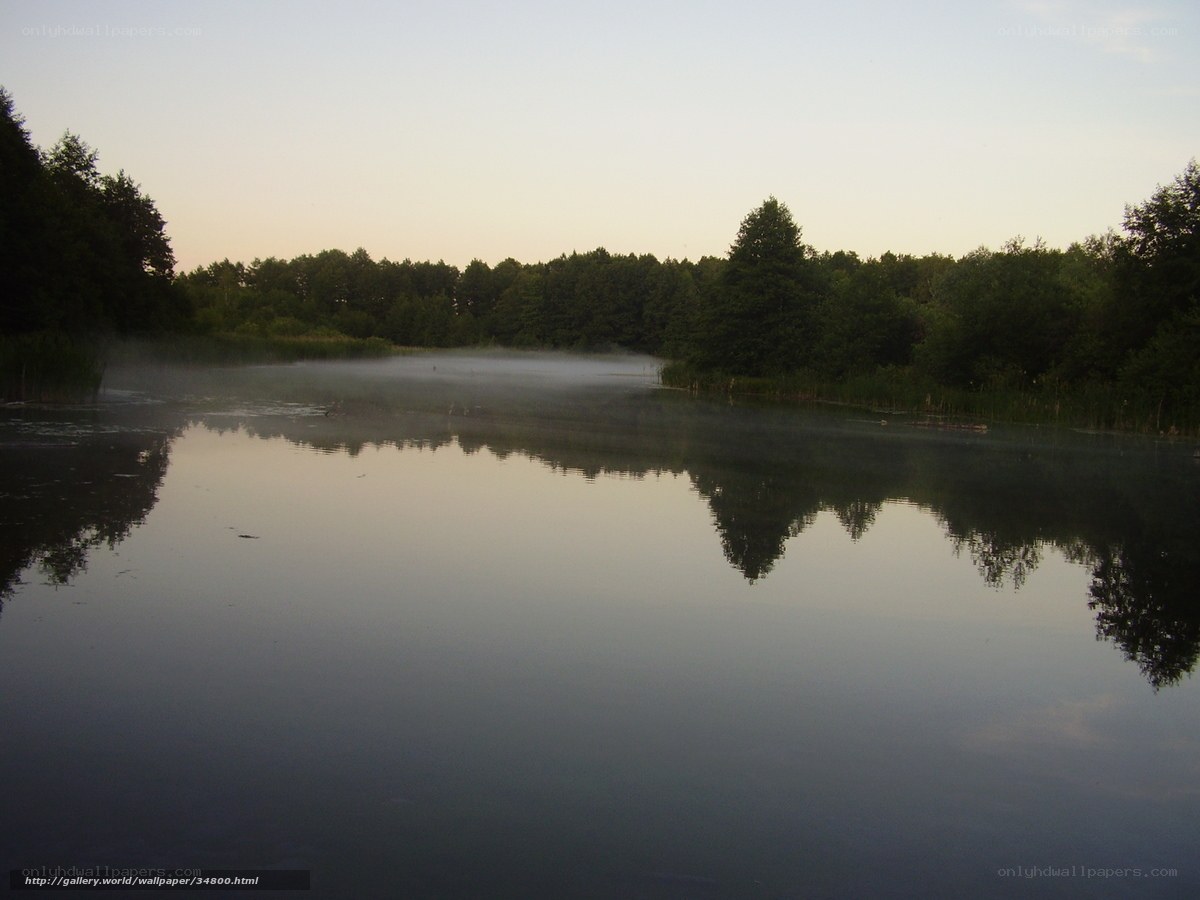 Misty lake at dawn