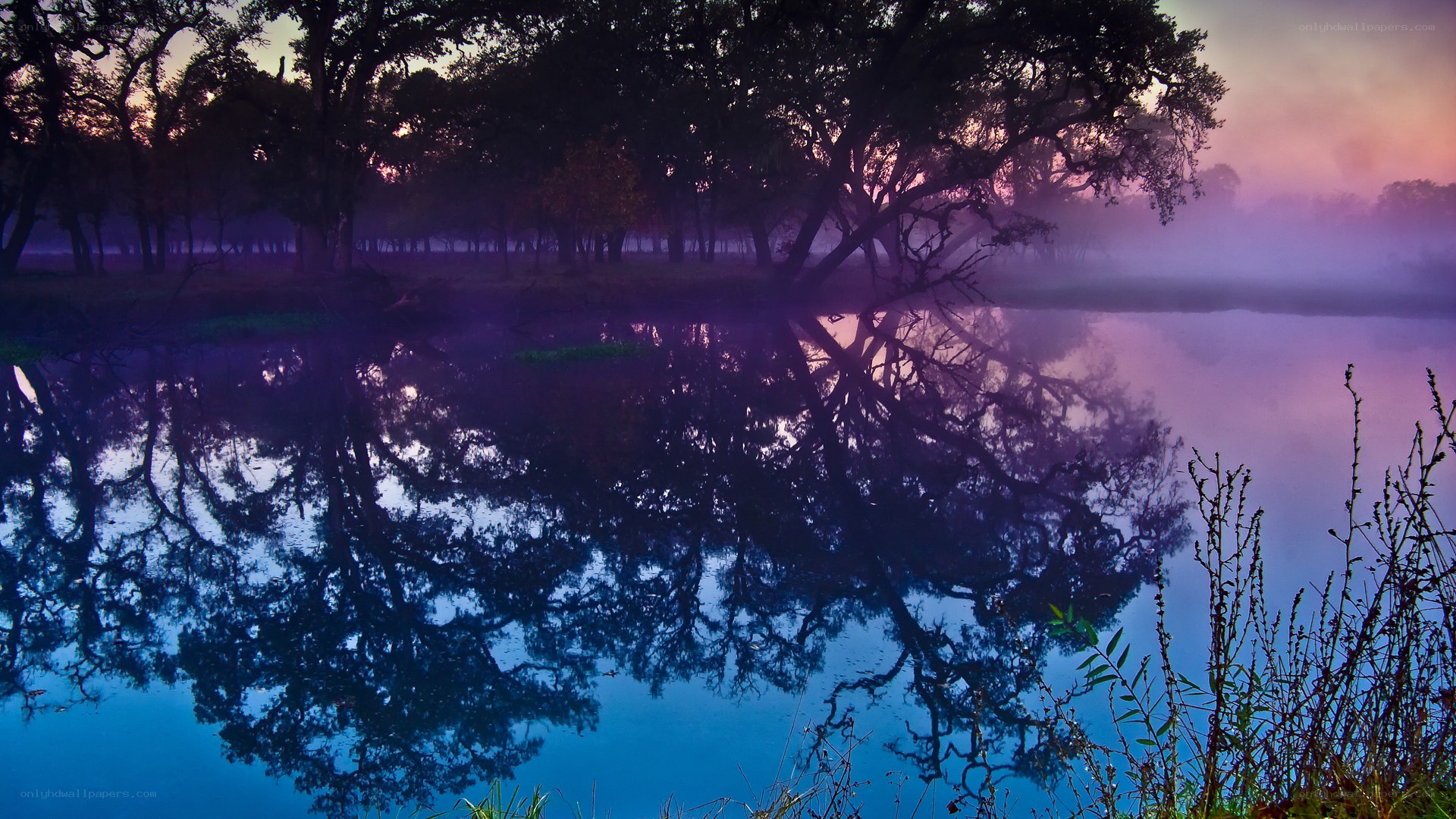 Misty lake at dawn