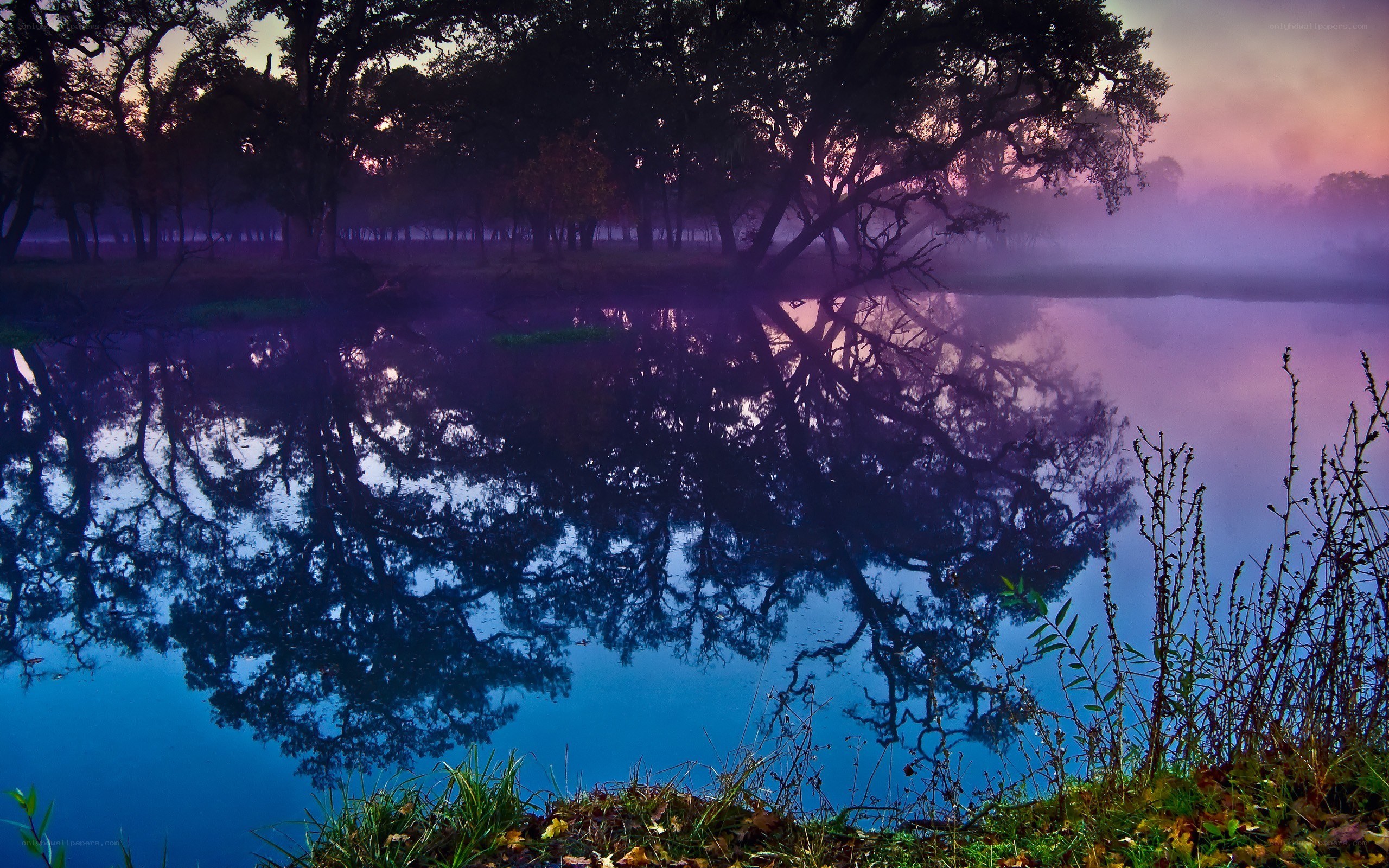 Misty lake at dawn
