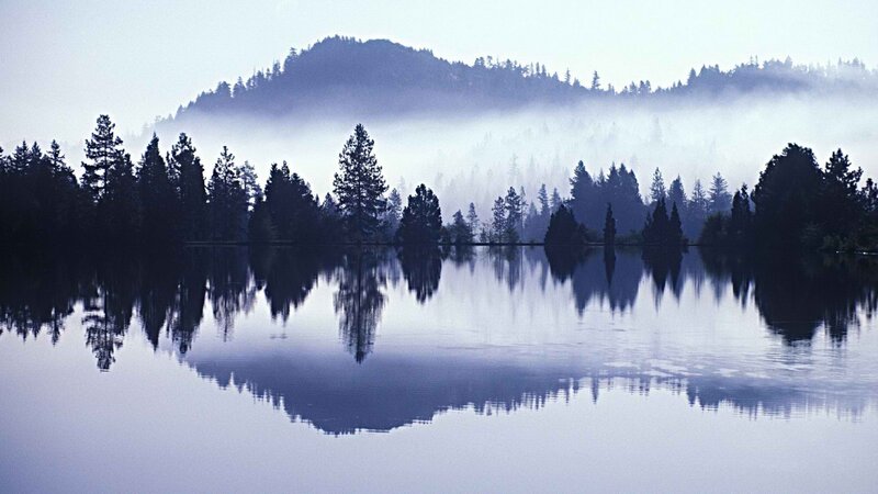 Misty lake at dawn