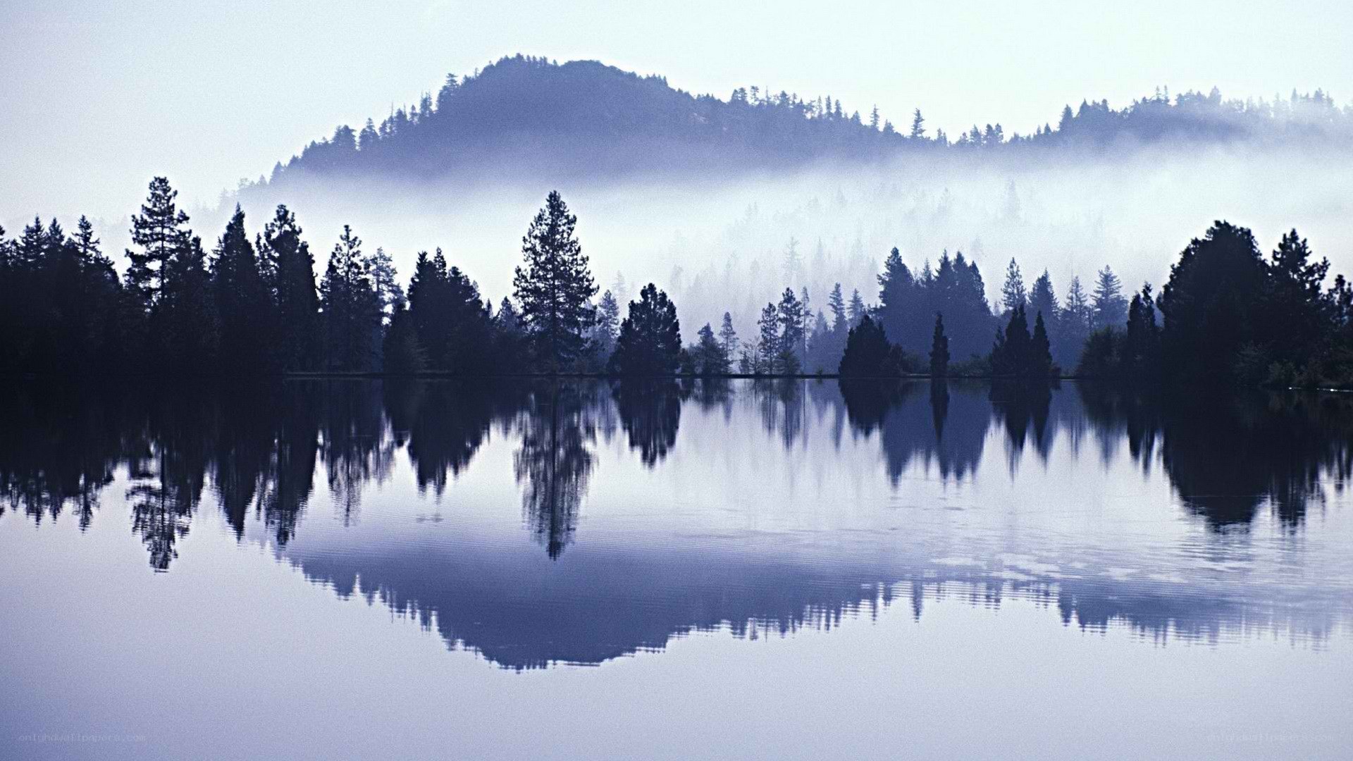 Misty lake at dawn