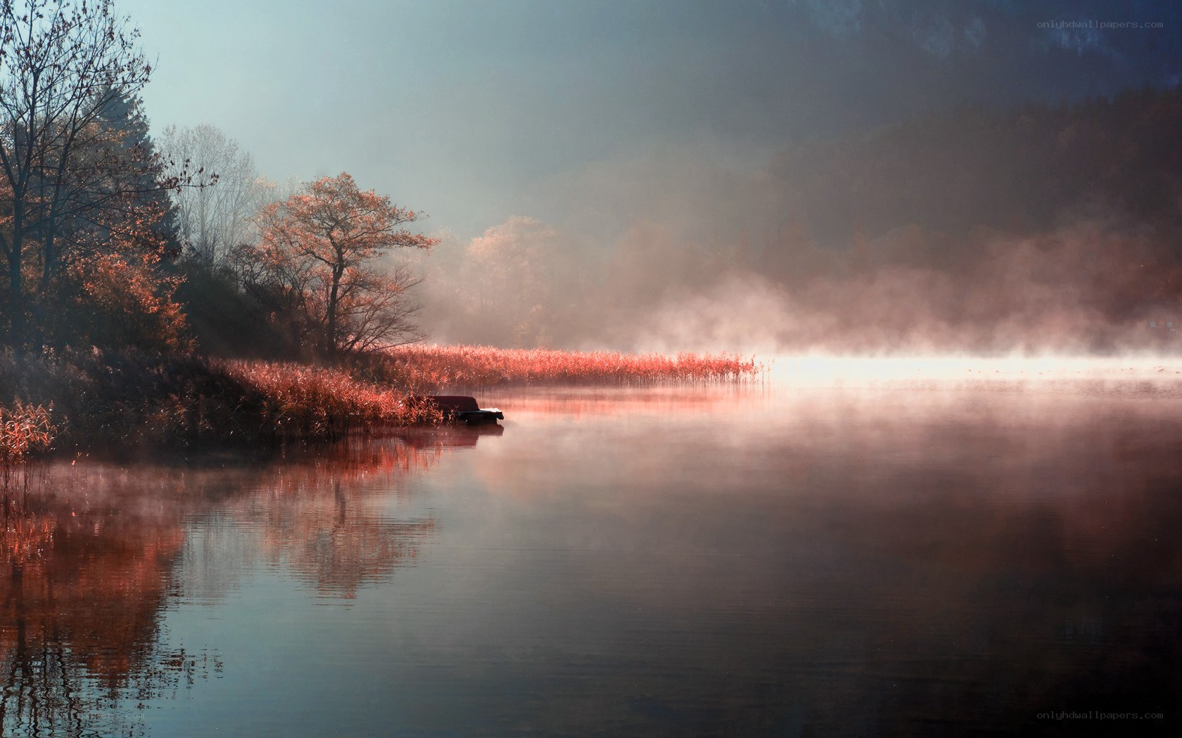 Misty lake at dawn