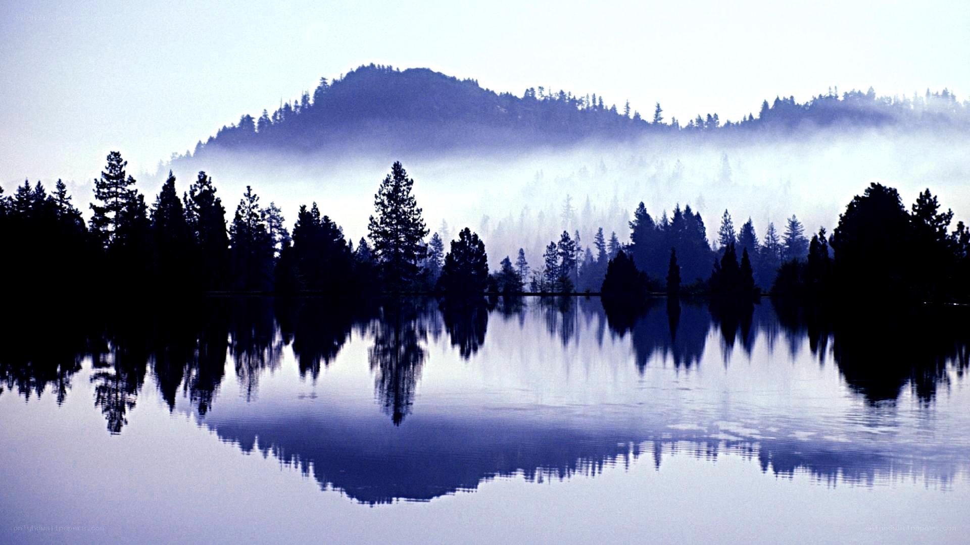 Misty lake at dawn