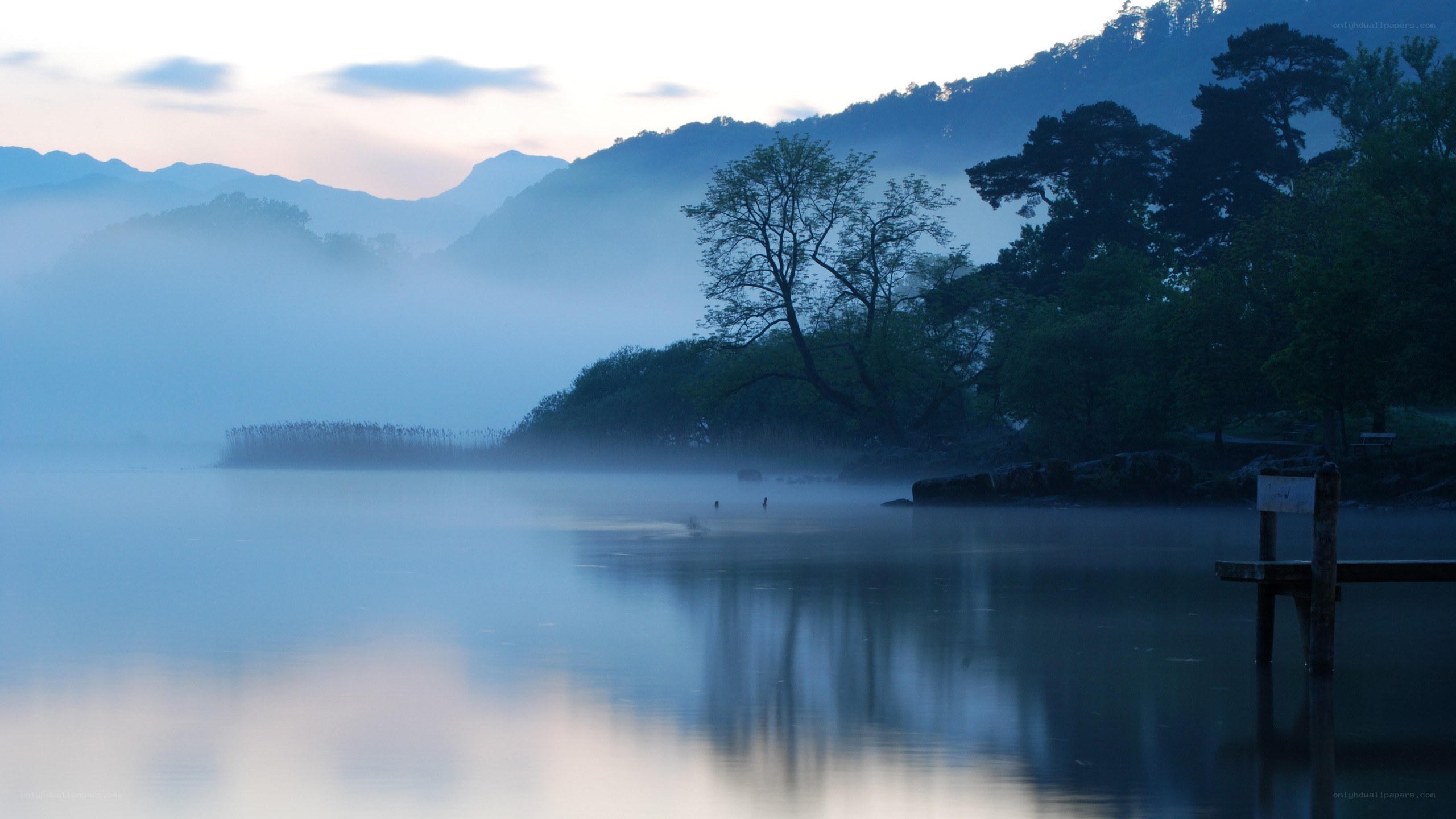 Misty lake at dawn