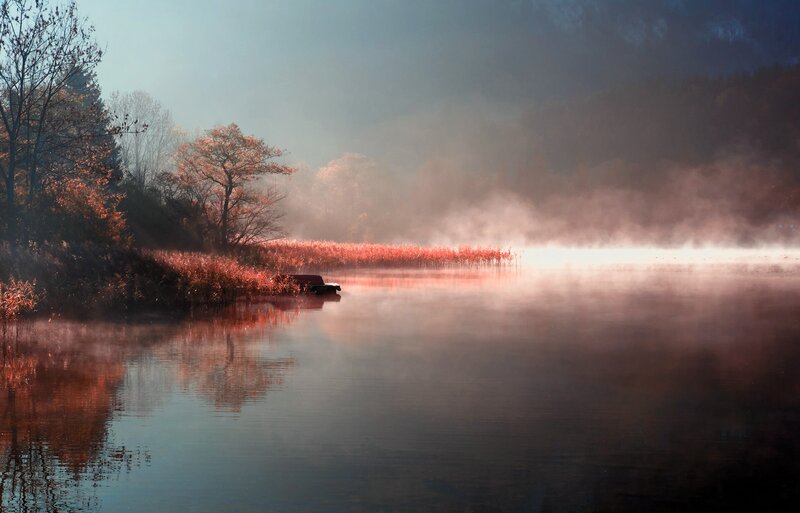 Misty lake at dawn