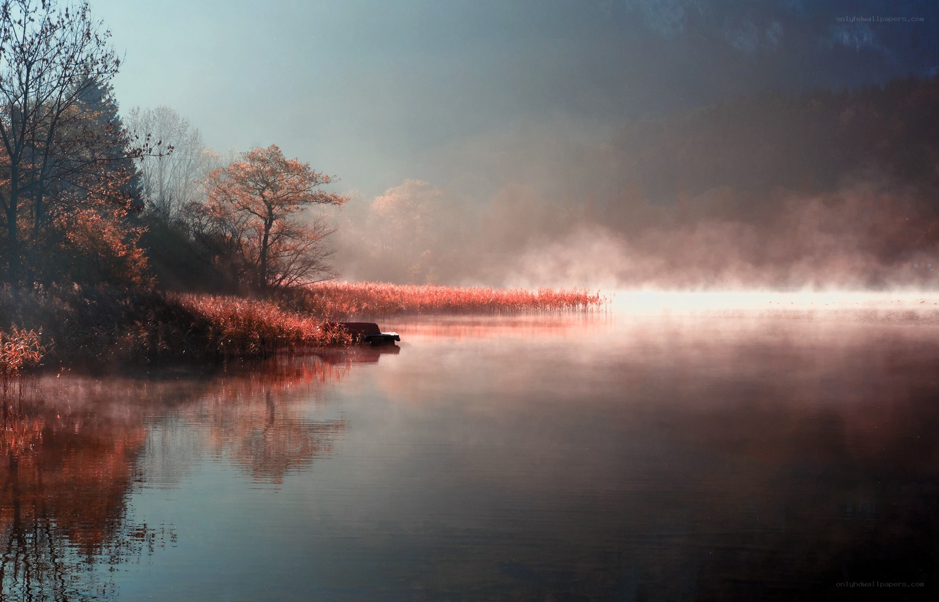 Misty lake at dawn