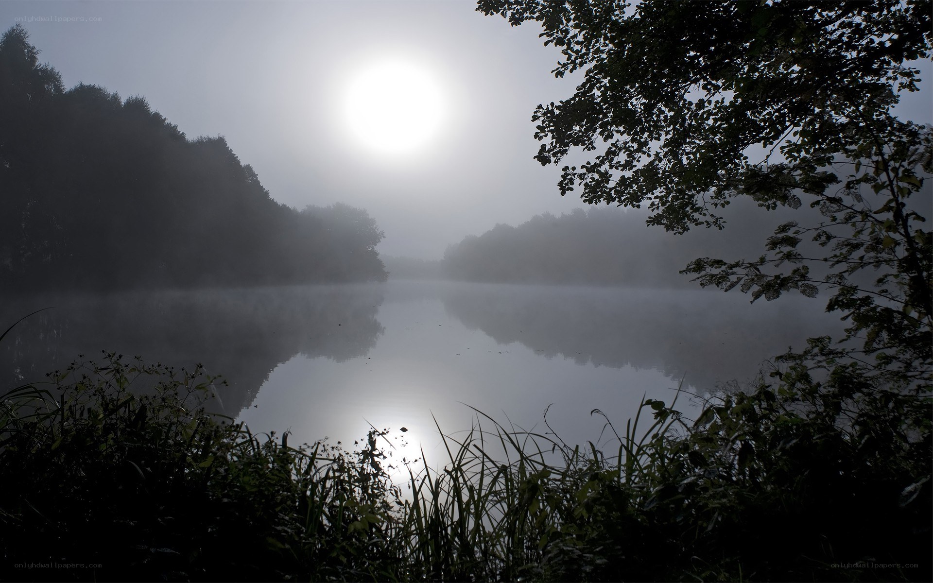 Misty lake at dawn
