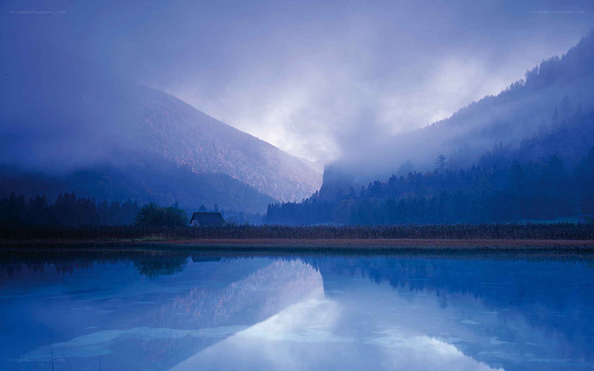 Misty lake at dawn
