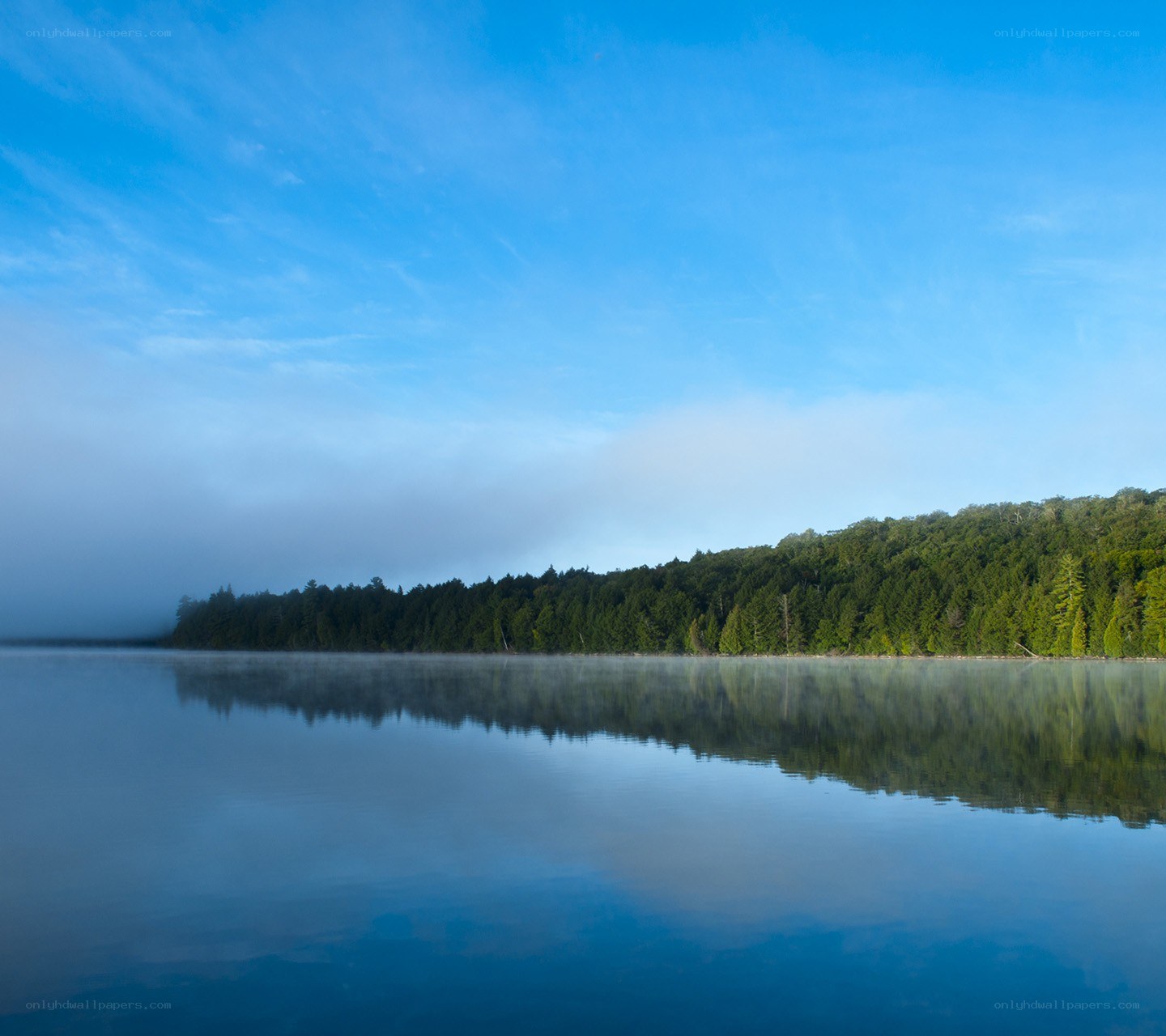 Misty lake at dawn