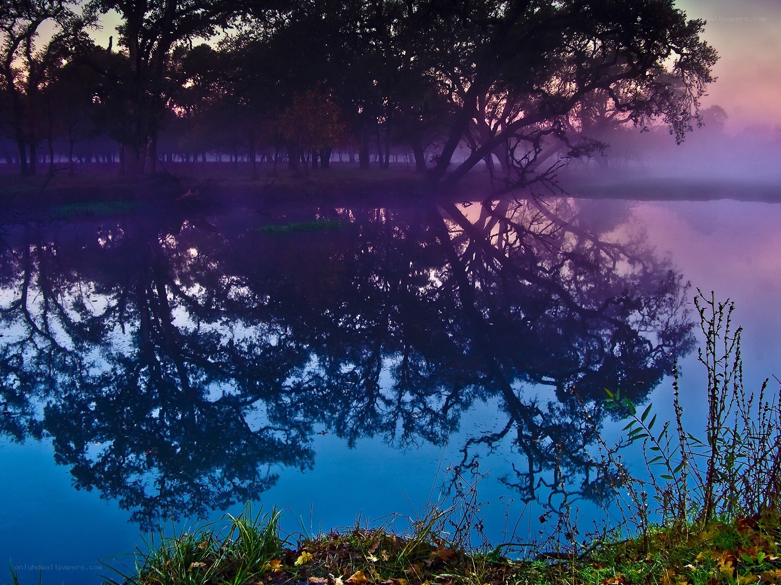 Misty lake at dawn