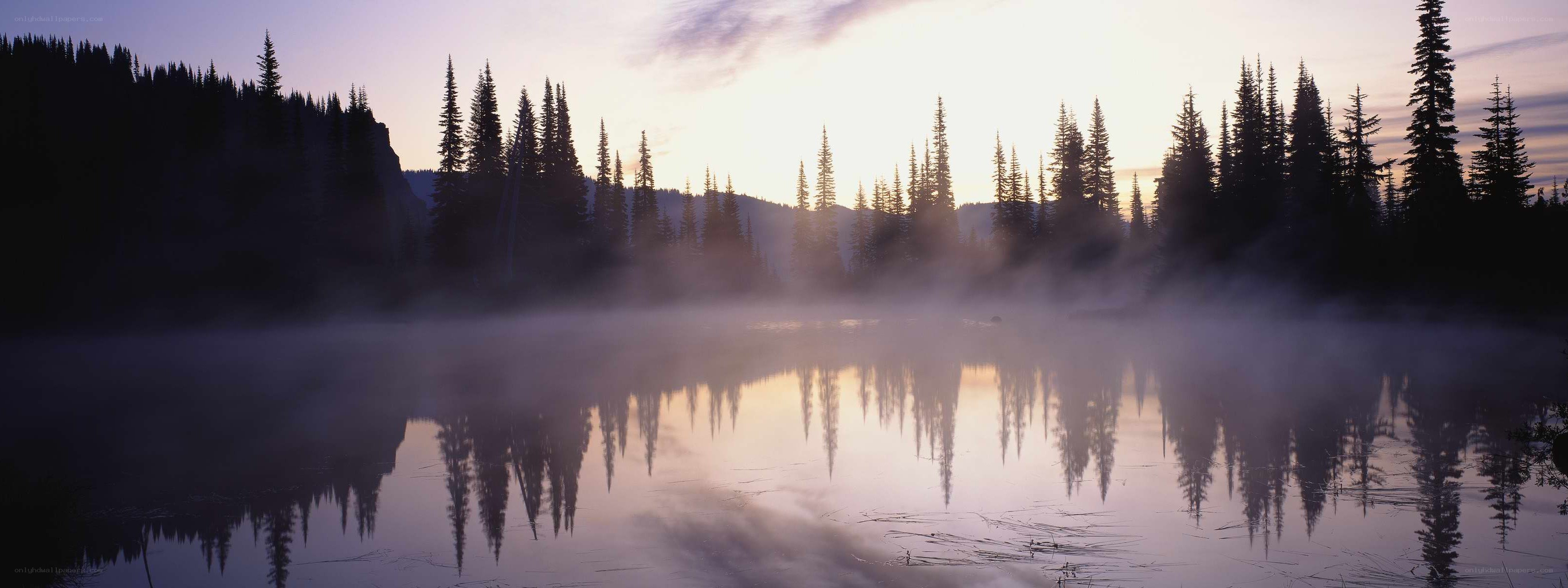 Misty lake at dawn