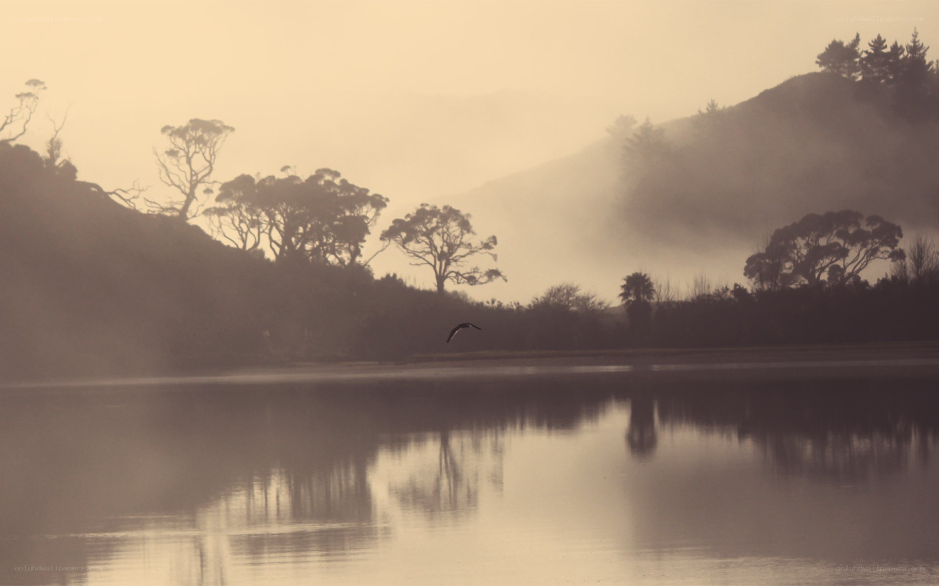 Misty lake at dawn