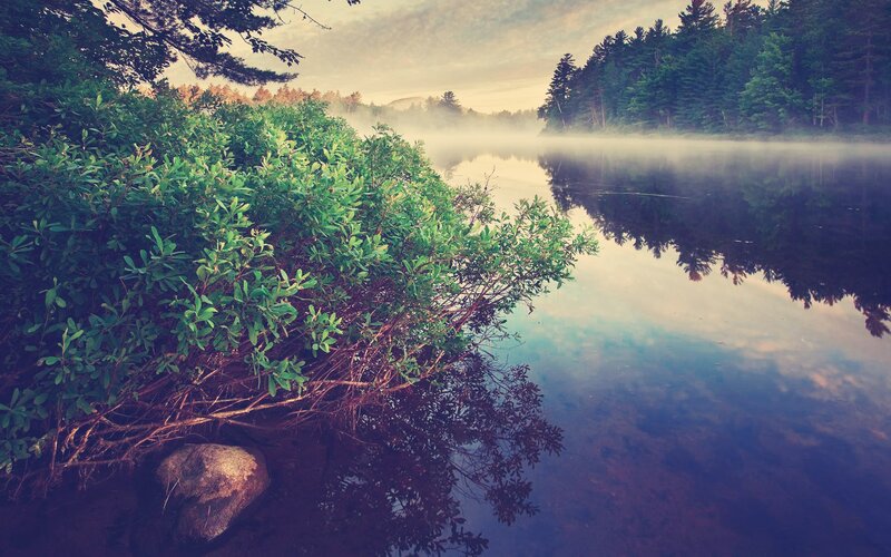 Misty lake at dawn