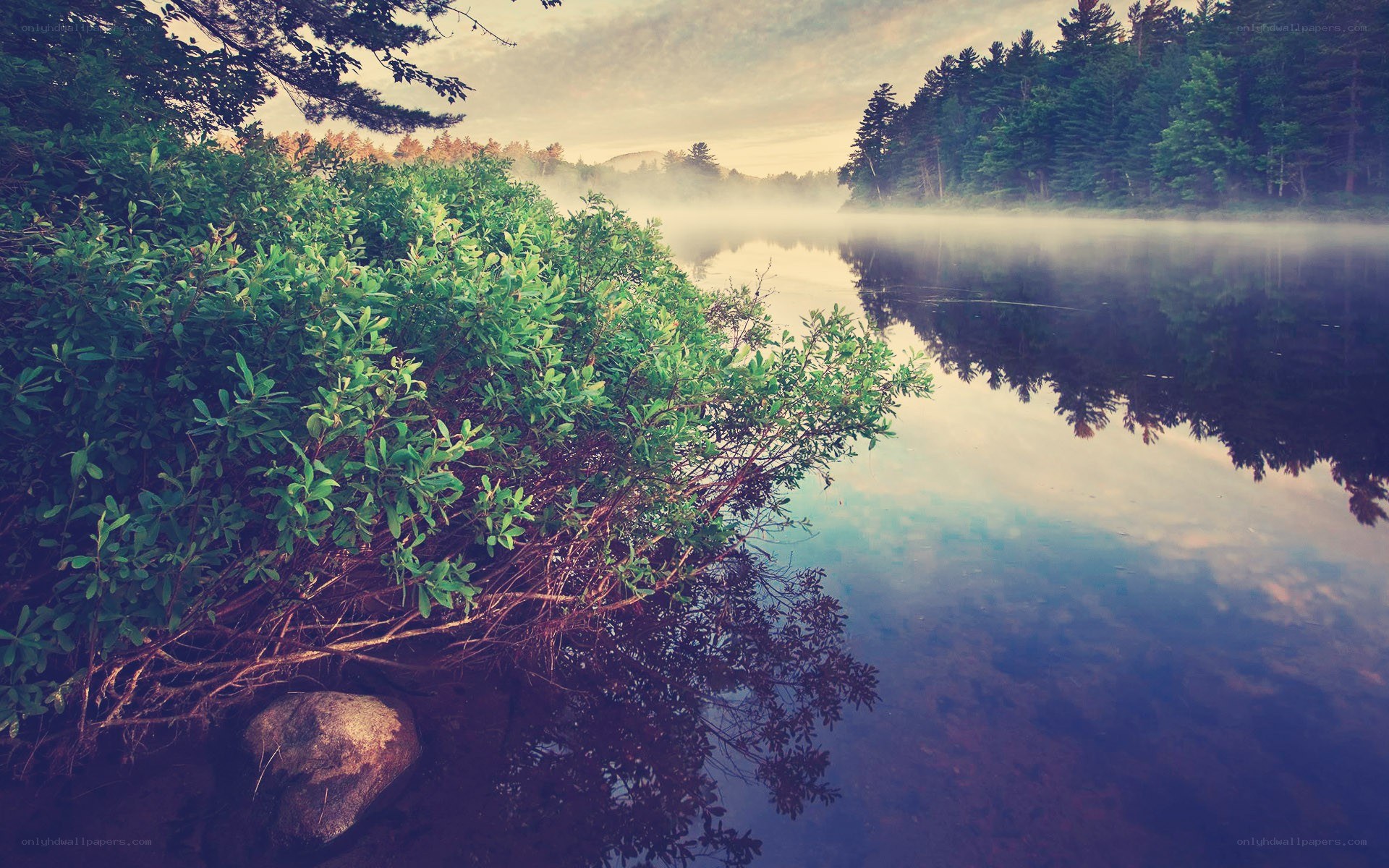 Misty lake at dawn