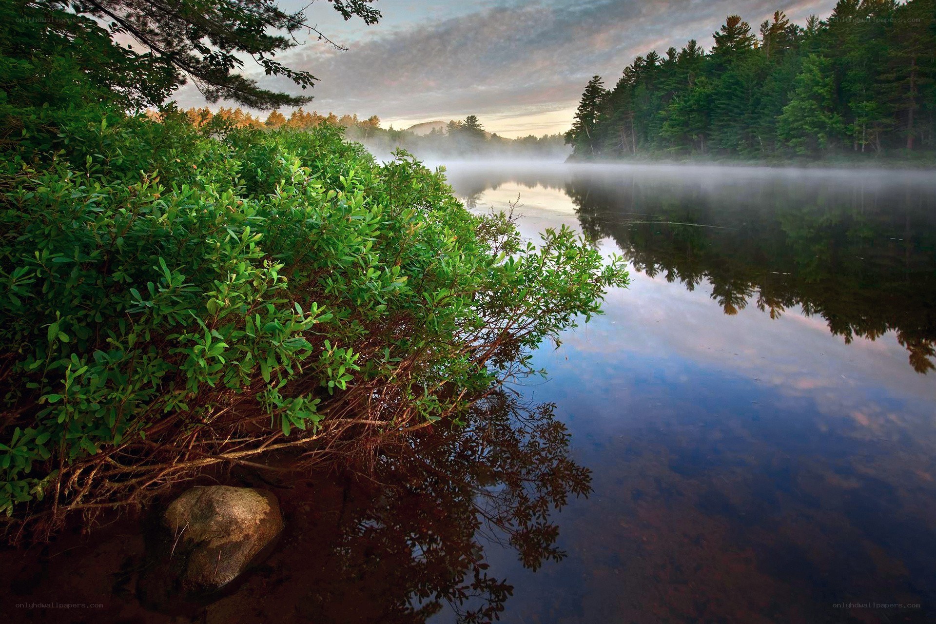 Misty lake at dawn