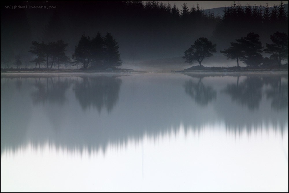Misty lake at dawn