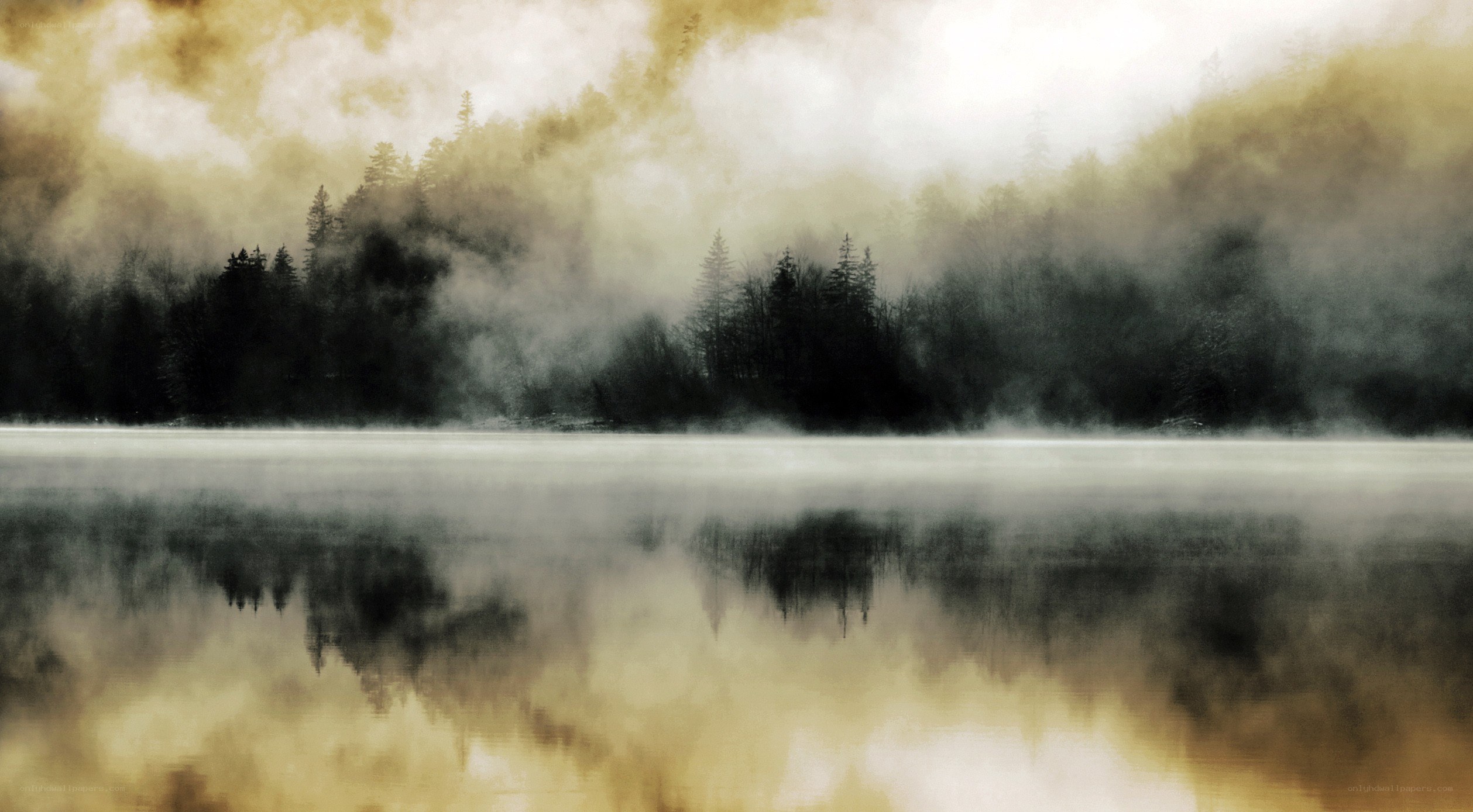 Misty lake at dawn