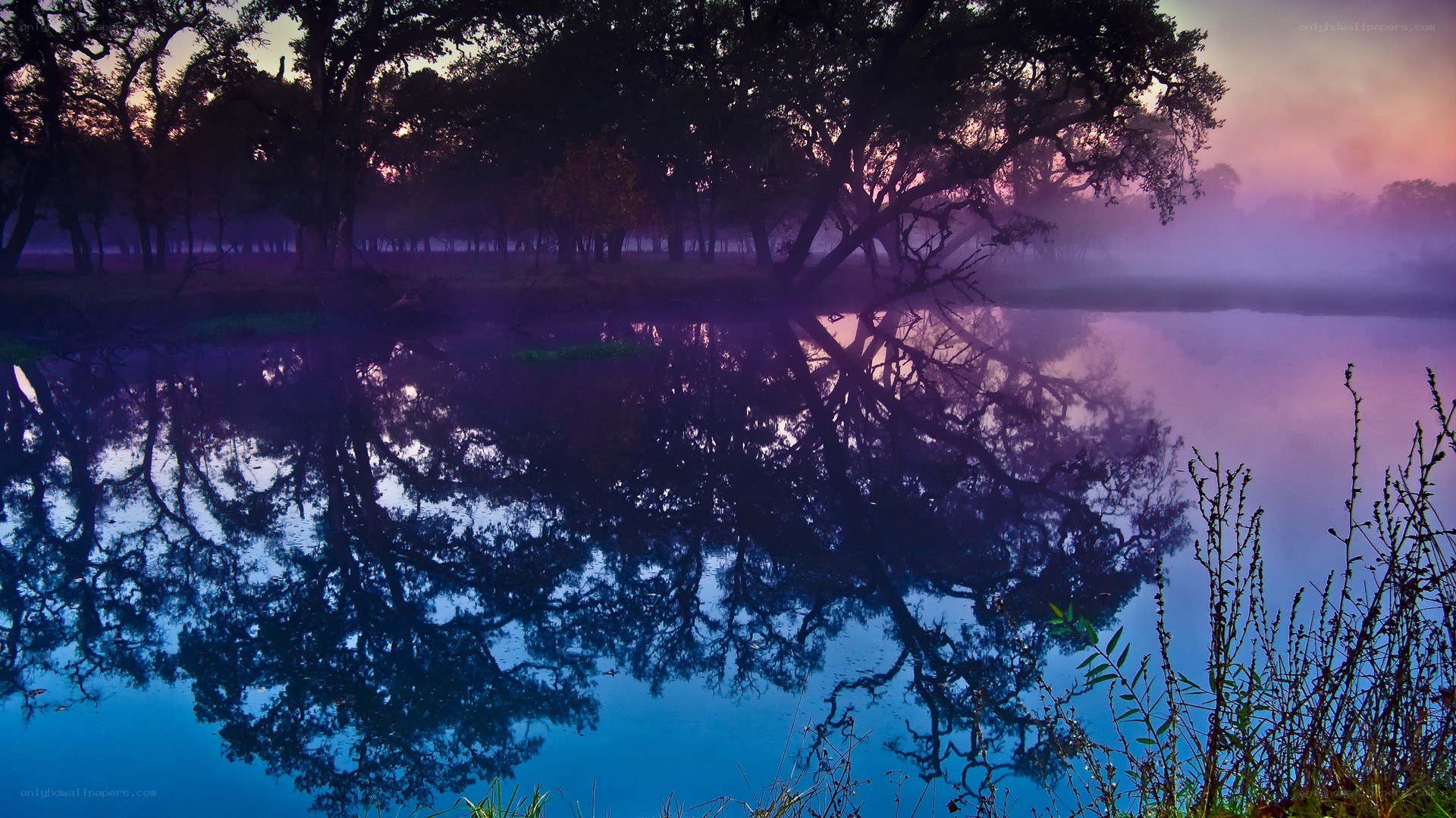 Misty lake at dawn