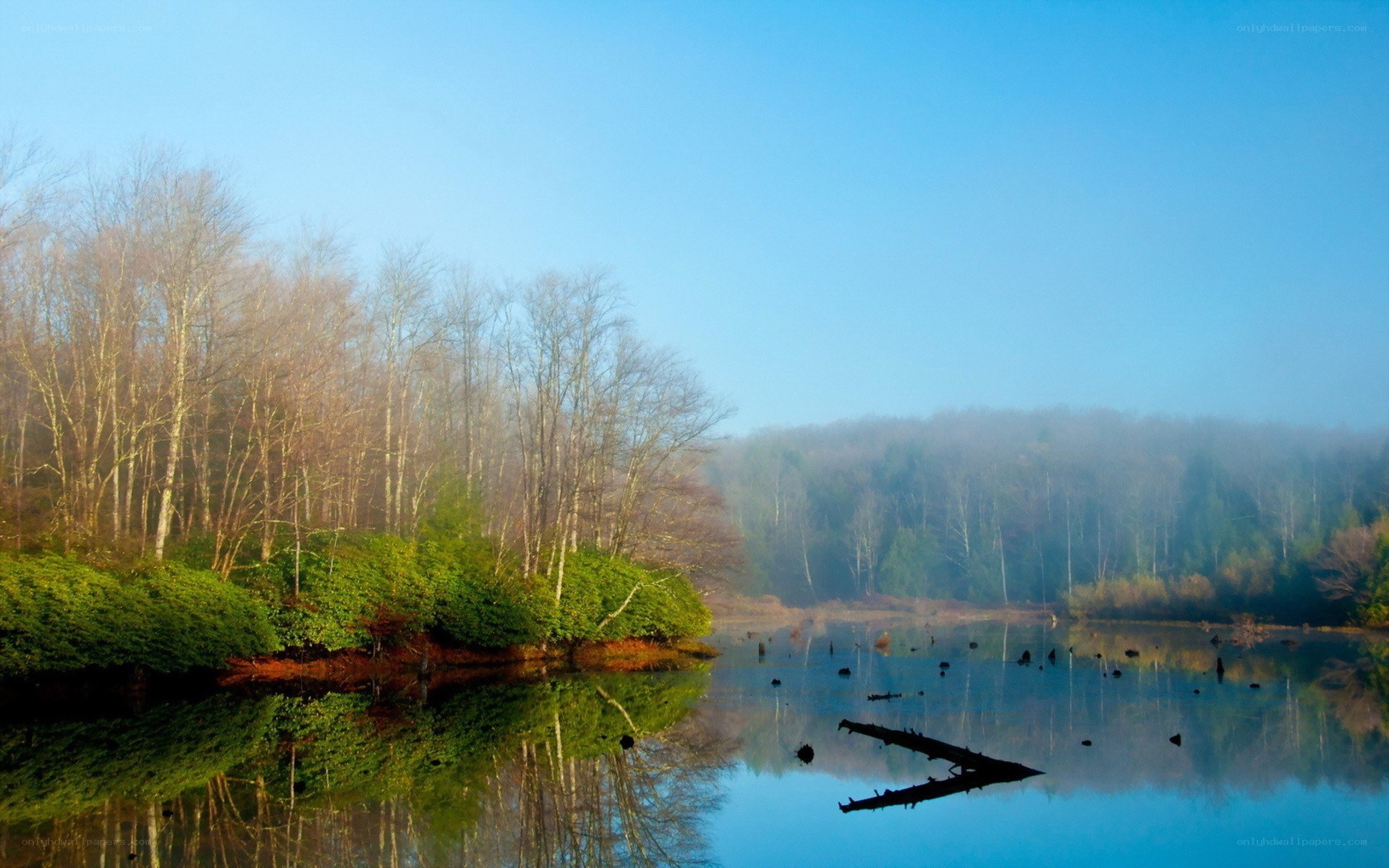 Misty lake at dawn