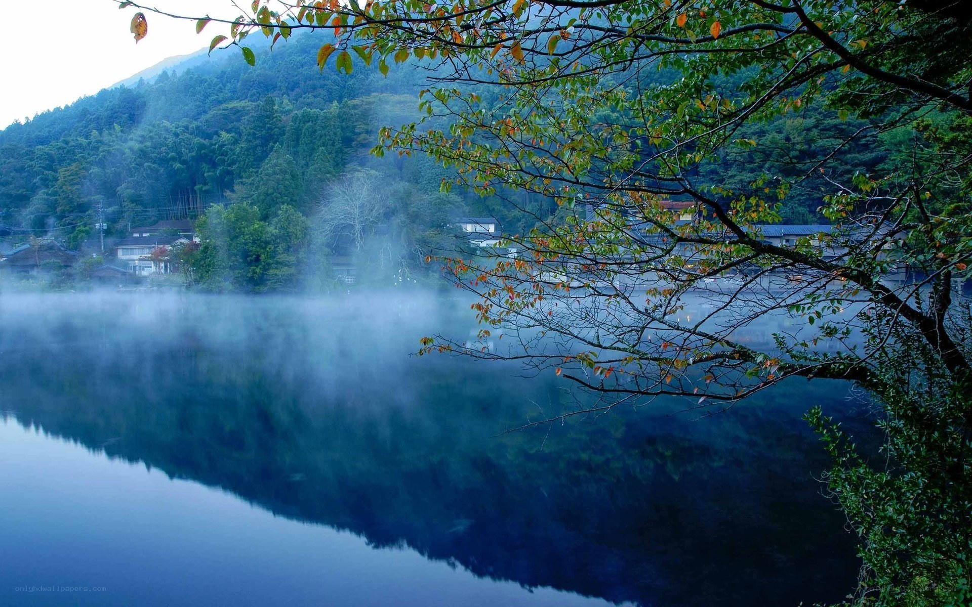 Misty lake at dawn